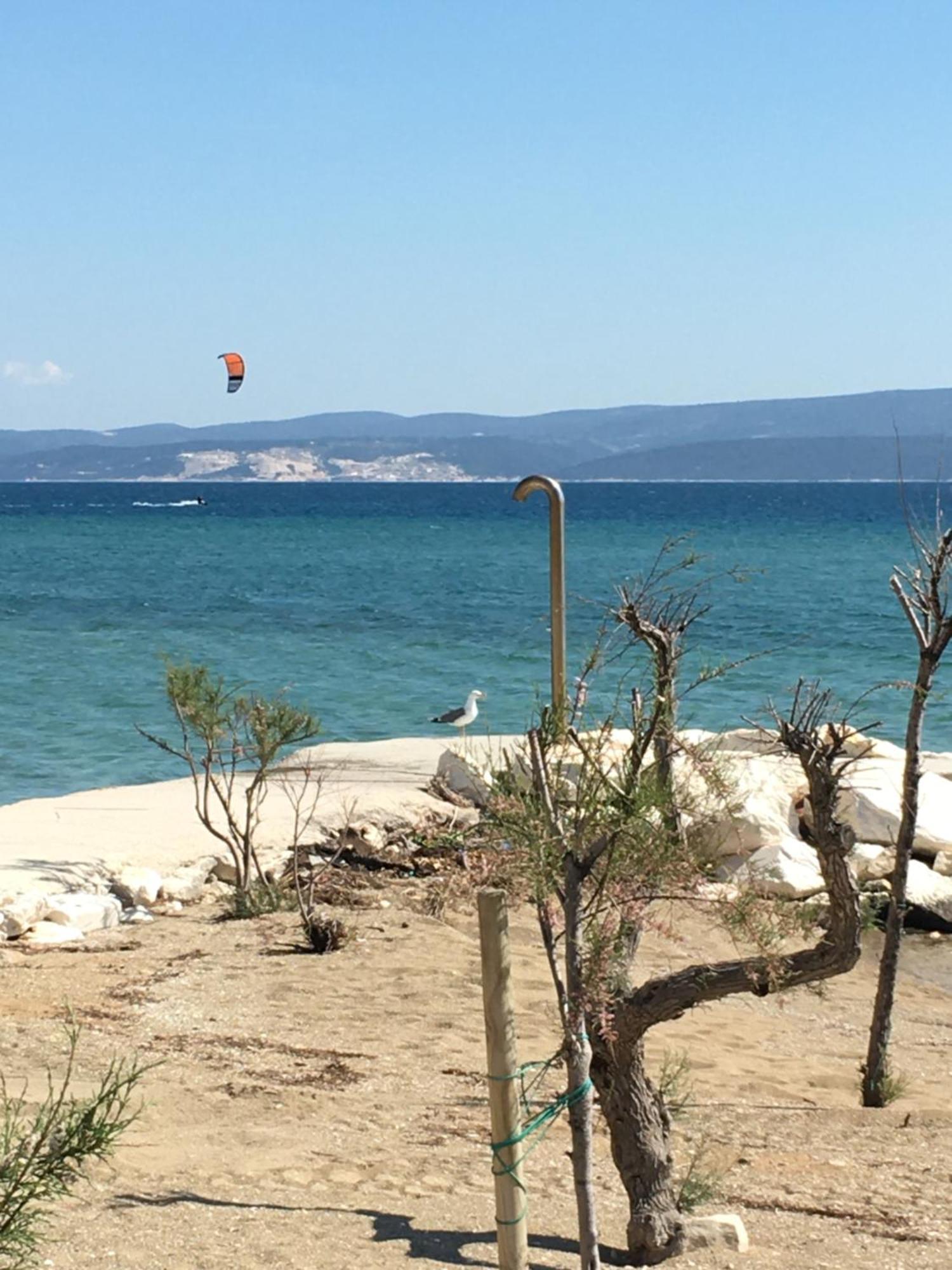 Emmi * Omis